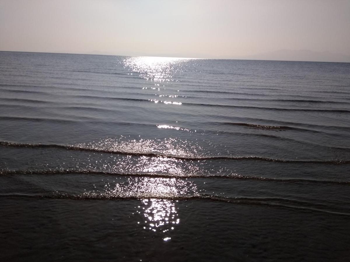 Dalry  Cleeves Cabins Ailsa Luxury Lodge With Hot Tub מראה חיצוני תמונה